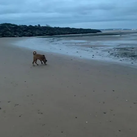 The Trailer By The Sea *