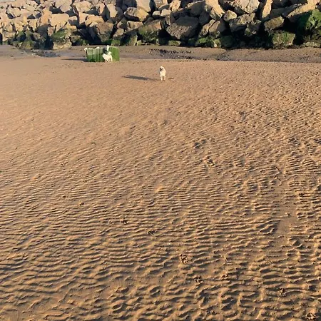 Kamp alanı The Trailer By The Sea *
